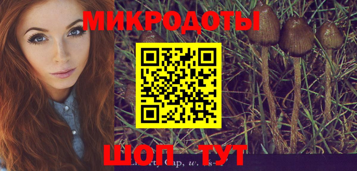 Галлюциногенные грибы GOLDEN TEACHER  Вход с VPN  Новочебоксарск  Галлюциногенные грибы Psilocybine cubensis 